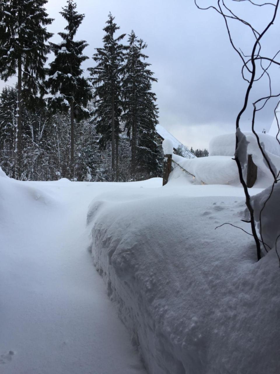 Ht Chalets ハルラホフ エクステリア 写真